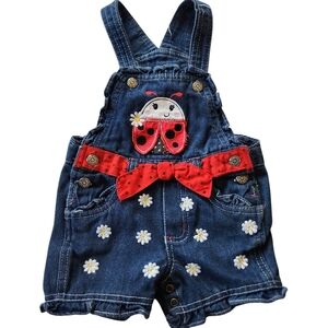 Ladybug Embroidered Floral Overalls shorts Sz 12 Months